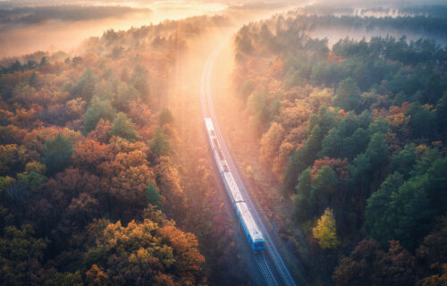 Train travelling through trees